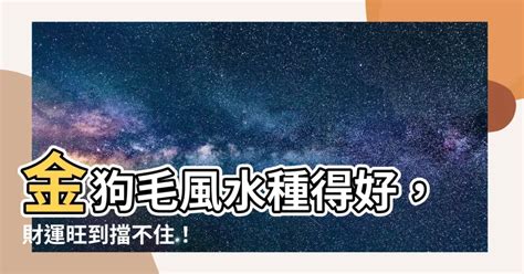 風水池功能|【風水 池】財運旺到擋不住！打造夢幻風水池，招財聚寶不間斷 –。